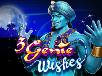 3 Genie Wishes