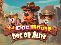 The Dog House – Dog or Alive